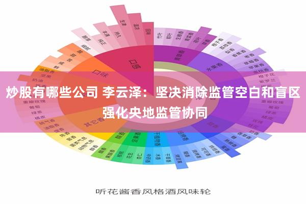 炒股有哪些公司 李云泽：坚决消除监管空白和盲区 强化央地监管协同