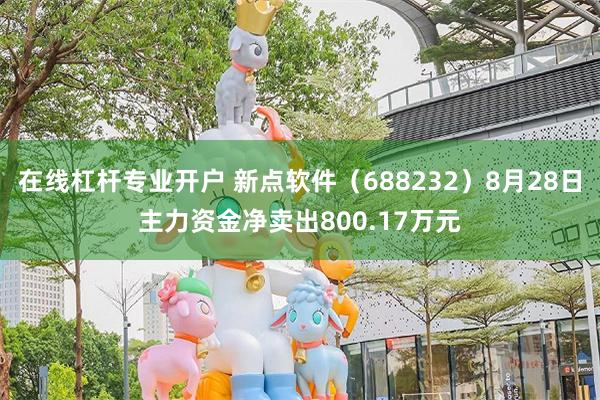 在线杠杆专业开户 新点软件（688232）8月28日主力资金净卖出800.17万元