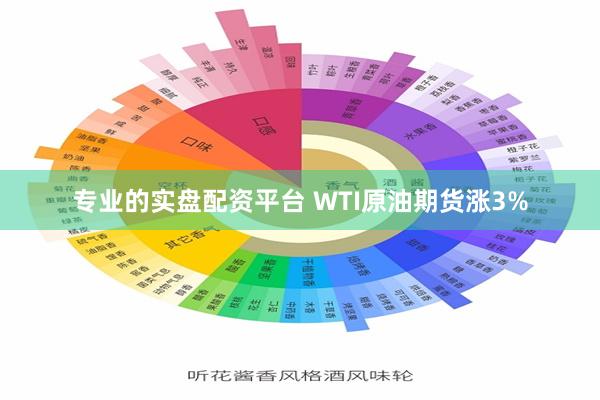 专业的实盘配资平台 WTI原油期货涨3%