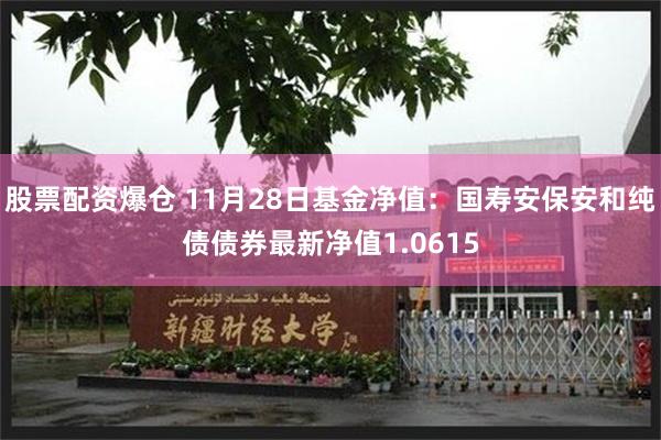 股票配资爆仓 11月28日基金净值：国寿安保安和纯债债券最新净值1.0615