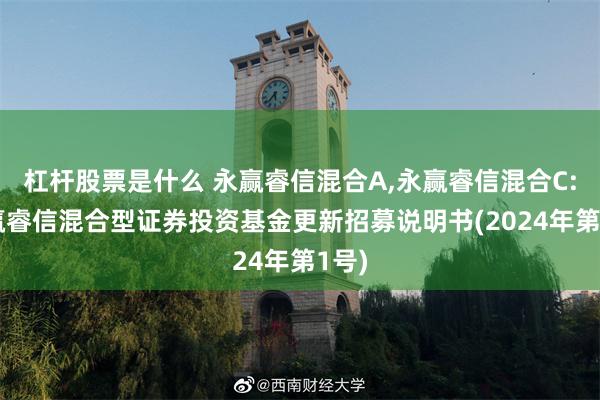 杠杆股票是什么 永赢睿信混合A,永赢睿信混合C: 永赢睿信混合型证券投资基金更新招募说明书(2024年第1号)