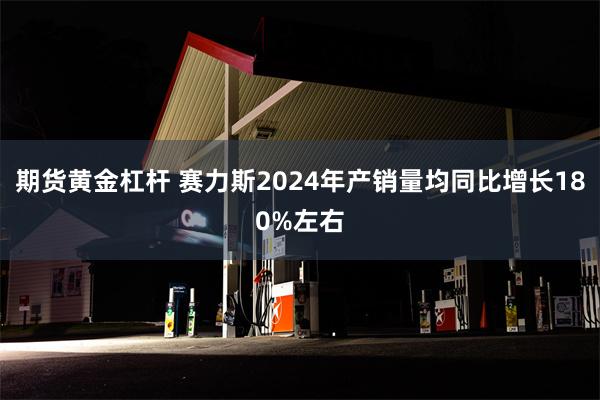 期货黄金杠杆 赛力斯2024年产销量均同比增长180%左右