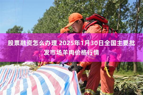 股票融资怎么办理 2025年1月30日全国主要批发市场羊肉价格行情