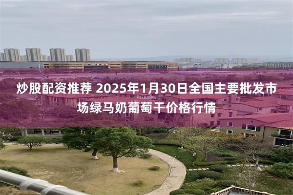 炒股配资推荐 2025年1月30日全国主要批发市场绿马奶葡萄干价格行情