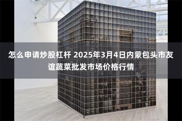 怎么申请炒股杠杆 2025年3月4日内蒙包头市友谊蔬菜批发市场价格行情