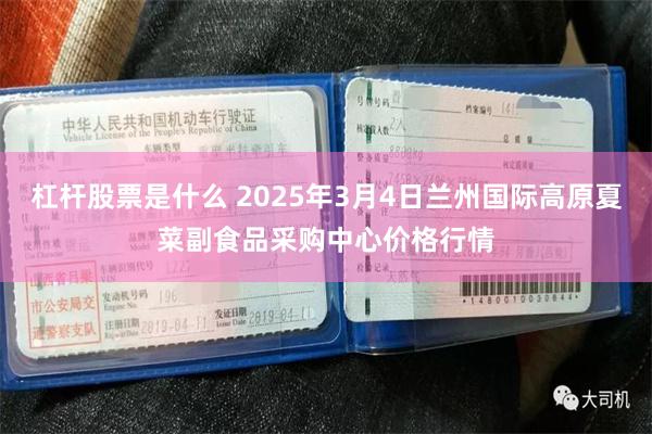 杠杆股票是什么 2025年3月4日兰州国际高原夏菜副食品采购中心价格行情